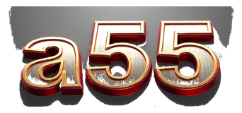 a55 logo
